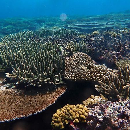 Fiji Lodge Vosa Ni Ua Savusavu Ngoại thất bức ảnh