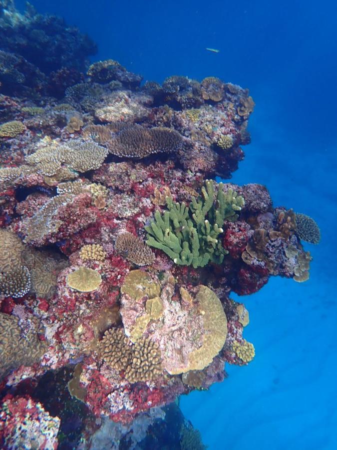 Fiji Lodge Vosa Ni Ua Savusavu Ngoại thất bức ảnh