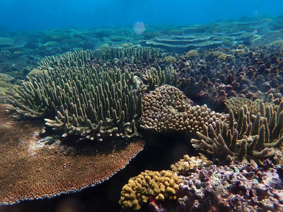 Fiji Lodge Vosa Ni Ua Savusavu Ngoại thất bức ảnh